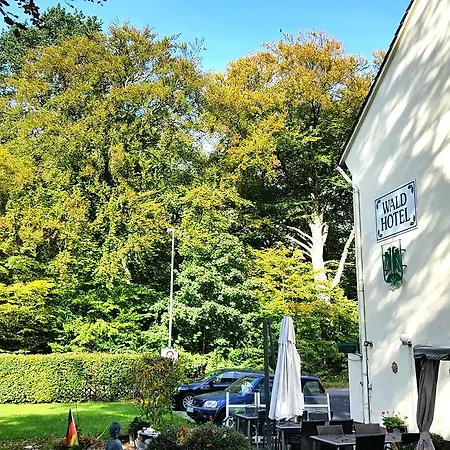 Wald-Hotel-2